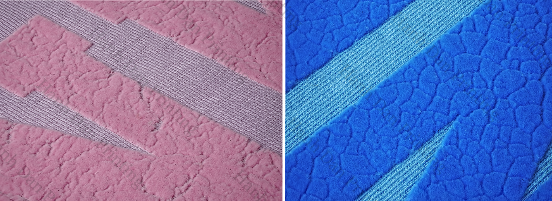 BẮN NHUNG TRỰC TIẾP