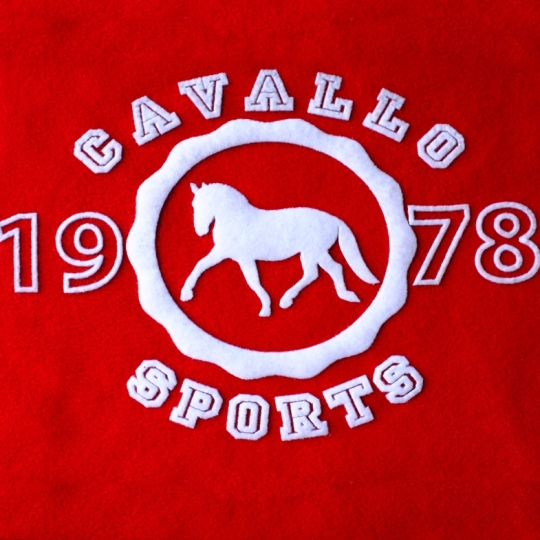 In Nhung trực tiếp trên Vải